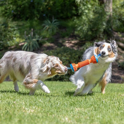Chuckit! Rugged Bumper Durable Fetch Dog Toy Small 30x11x7cm