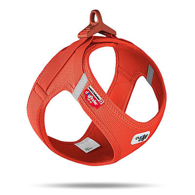 Curli Vest Harness Air-Mesh Sun Orange Medium 43.4-49cm