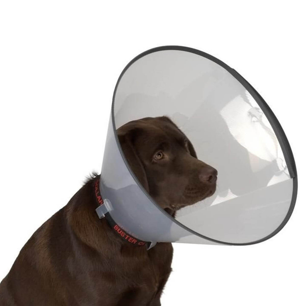 Dermo-Vet Protective Elizabeth Collar for Small Pets 12.5 cm