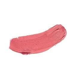 Diego Dalla Palma All In One Blush Stick 43 - 5g