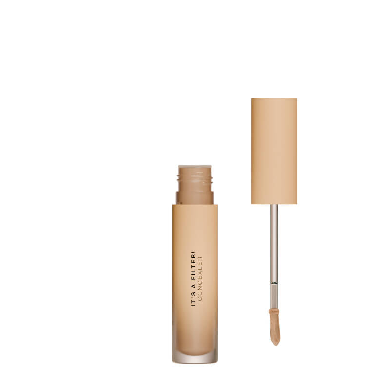 Diego Dalla Palma It's A Filter Concealer 137 W
