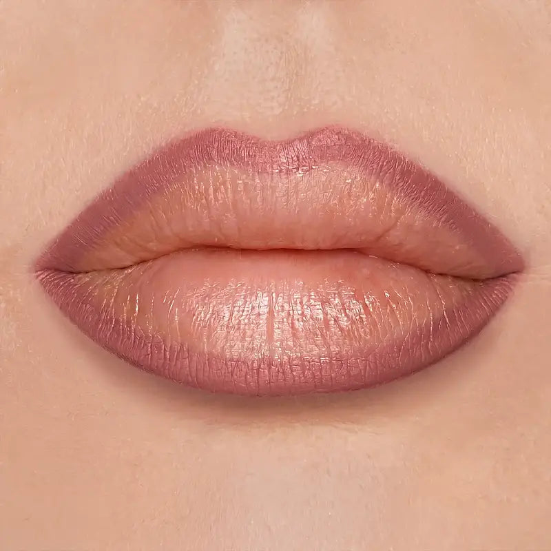 Diego Dalla Palma Volume Effect Lip Liner 200 Pale Rose