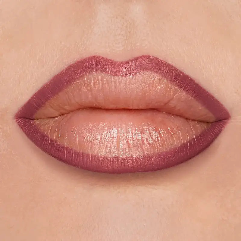 Diego Dalla Palma Volume Effect Lip Liner 201 Rosewood 1.2g