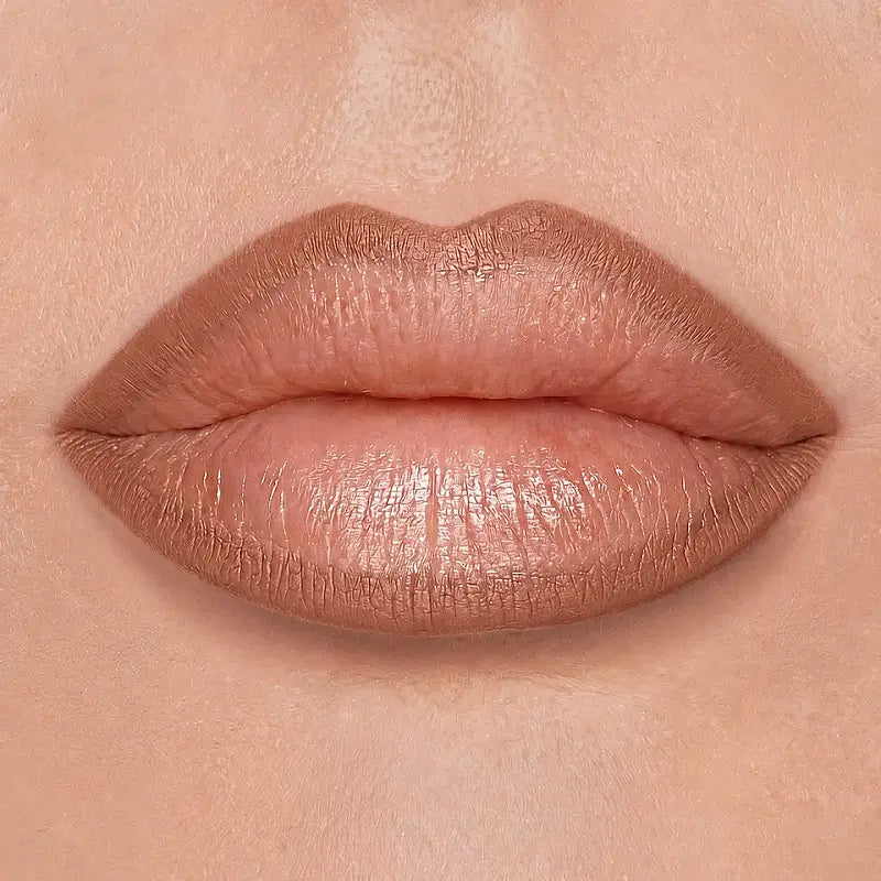 Diego Dalla Palma Volume Effect Lip Liner 203 Beige 1.2g