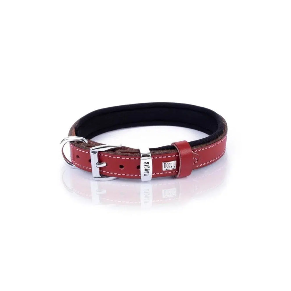 Doggie SBT Leather Bone Print Dog Collar Red Medium