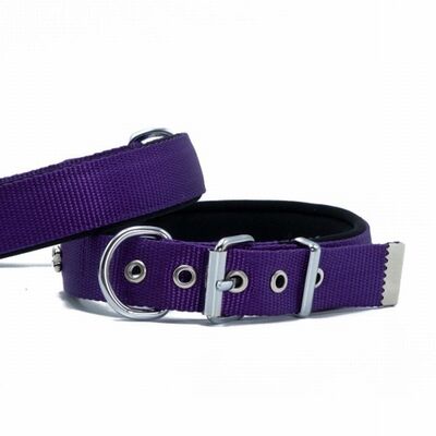 Doggie Comfort Woven Purple Dog Collar for Medium & Large Breeds