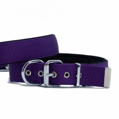 Doggie Comfort Woven Purple Dog Collar for Large Breeds 42-50cm