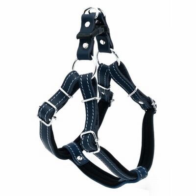 Doggie Ronin Leather Dog Chest Harness Royal Blue 45-55cm
