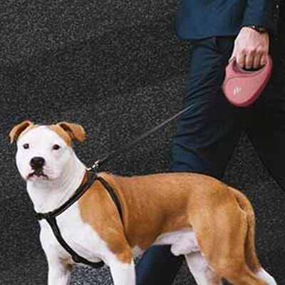 Doggie Master Series Retractable Dog Leash for Large Breeds 5m