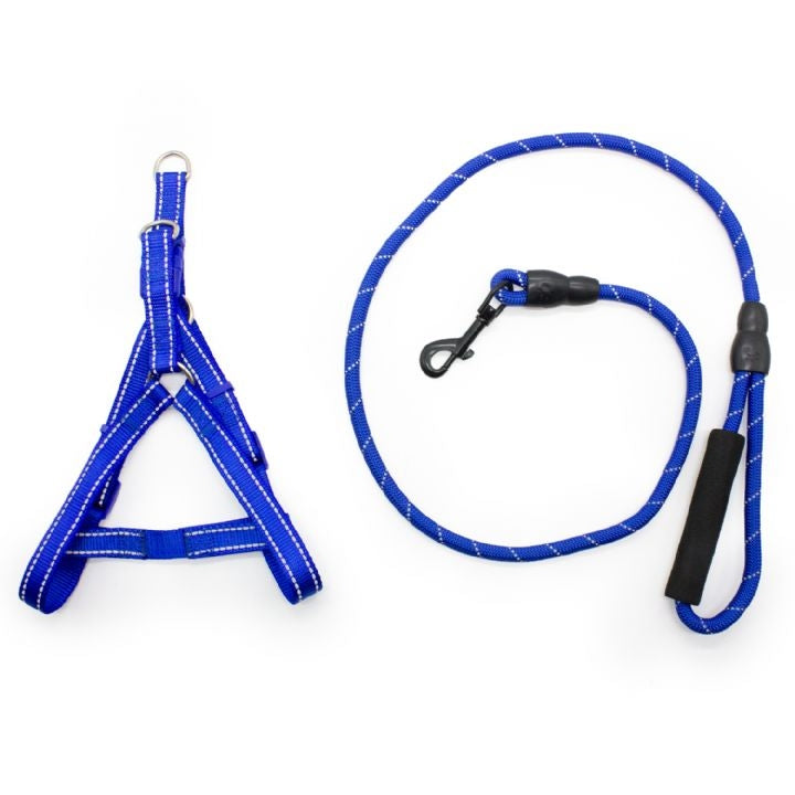 Dog Life Dog Harness and Leash Set for Daily Walks 10 mm