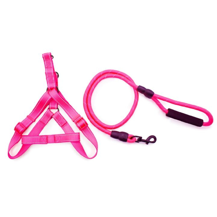 Dog Life Dog Harness and Leash Set Balanced Control 12 mm