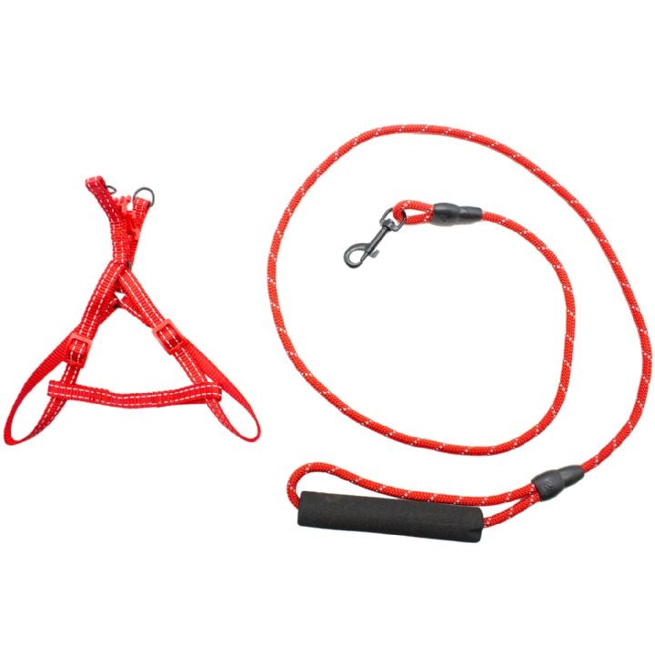 Dog Life Dog Harness and Leash Set Balanced Control 6 mm