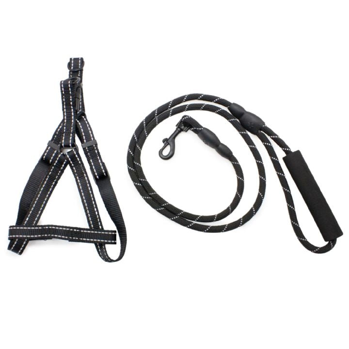 Dog Life Dog Harness and Leash Set 8mm for Daily Pet Walking