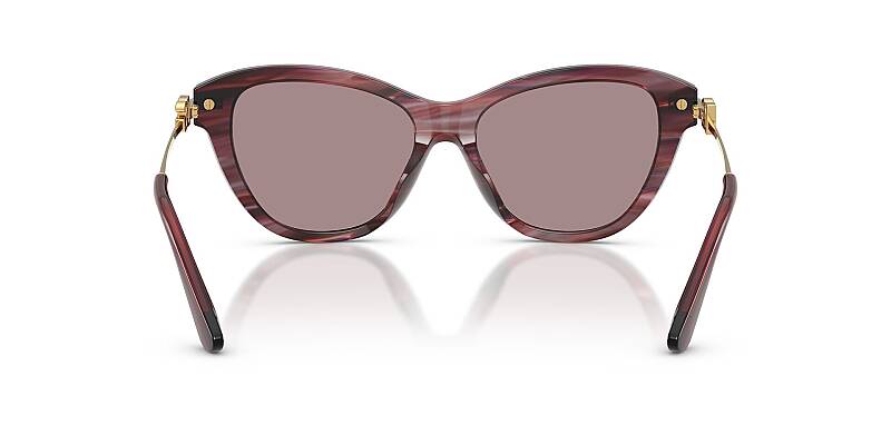 Dolce Gabbana 0DG4534 Women's Designer Sunglasses 53mm