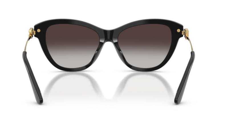 Dolce Gabbana 0DG4534 Black Square Women's Sunglasses 53mm