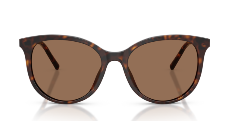 Dolce Gabbana 0DG4540 Havana Women's Sunglasses 55mm