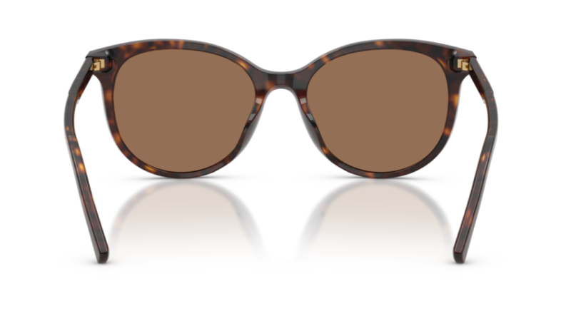 Dolce Gabbana 0DG4540 Havana Women's Sunglasses 55mm