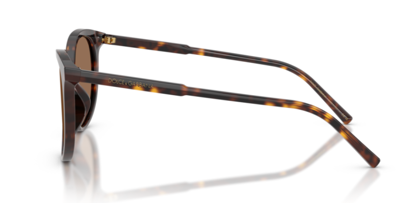 Dolce Gabbana 0DG4540 Havana Women's Sunglasses 55mm