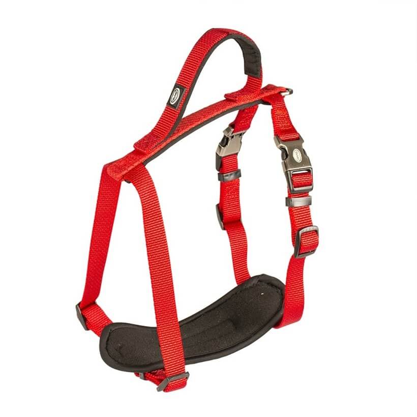 Duvo+ Explor Red Dog Harness Weather Resistant 50-65cm x 20mm