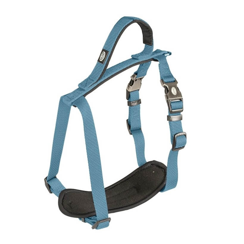 Duvo+ Explor Dog Harness Petrol Blue Weatherproof 30-40cm