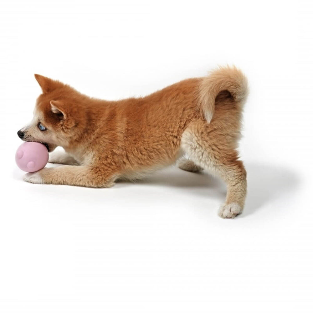 Duvo+ Balu Tumble Toy Durable Rubber Dog Toy Pink 8x6x6 cm