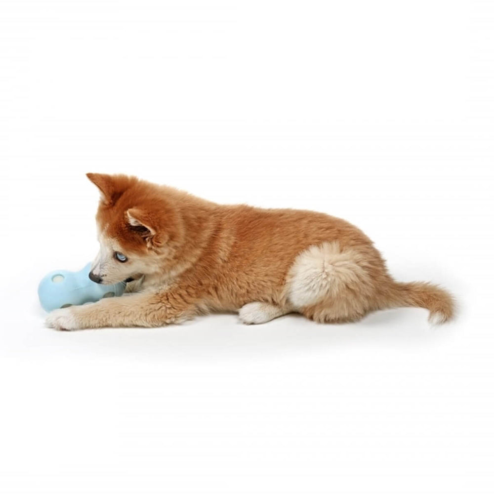 Duvo+ Water Chew Freezable Cooling Dog Toy Blue 12cm