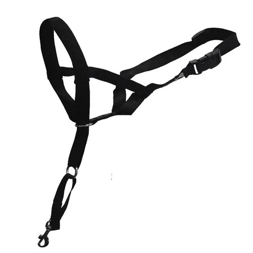 Duvo+ Walking Control Dog Training Muzzle for Gentle Lead 22cm