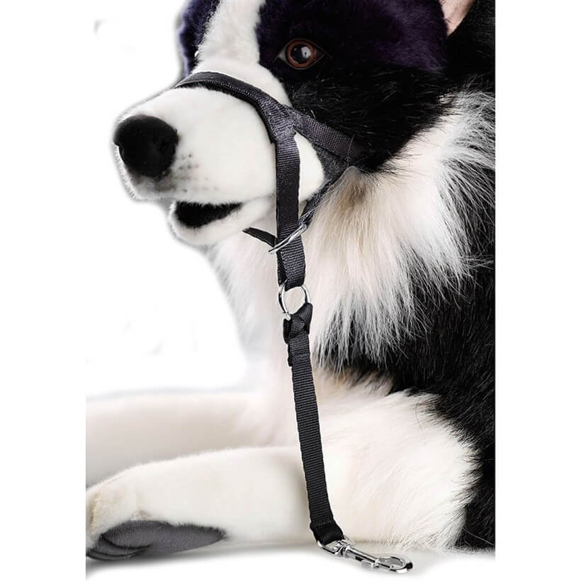 Duvo+ Walking Control Dog Training Muzzle 34 cm
