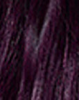 Palette Deluxe Permanent Hair Color 4-99 Amethyst Purple