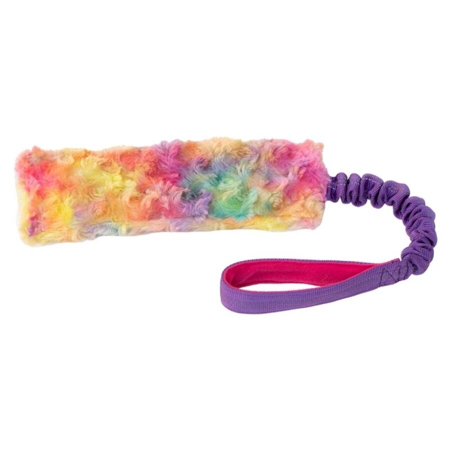 Eastland Rainbow Squeaky Bungee Rope Dog Toy 52cm