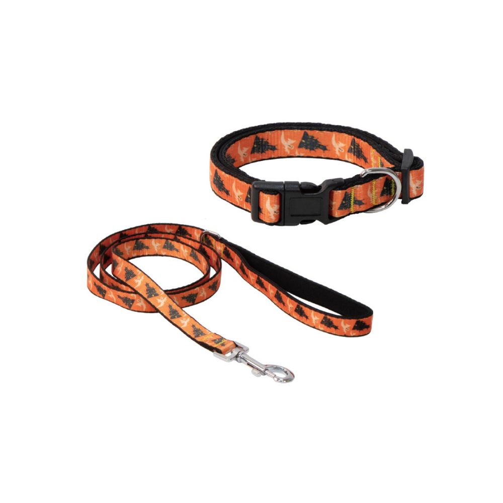 Eastland Halloween Pattern Dog Collar & Leash Set 20mm