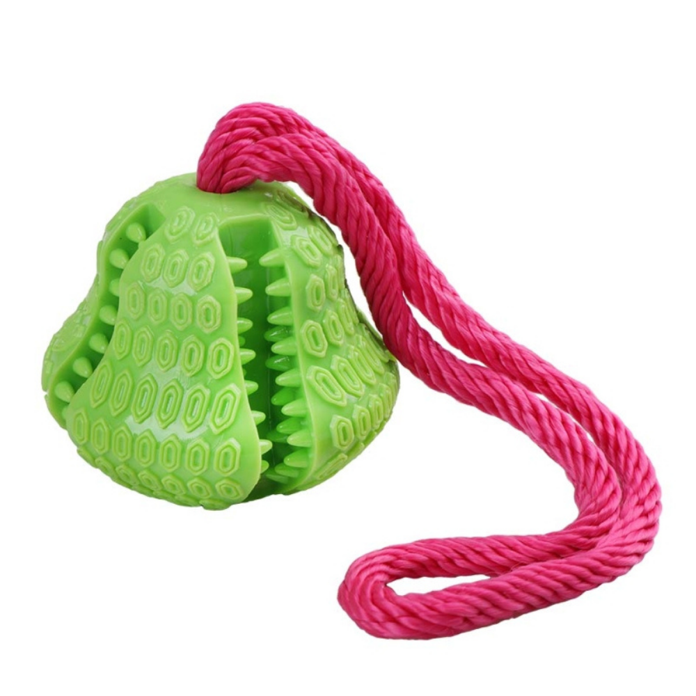Eastland Pear Shaped Plastic Dog Toy with Rope 8 cm