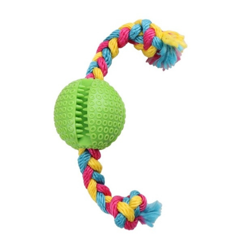 Eastland Plastic Rugby Ball Dog Toy with Rope 6.5cm