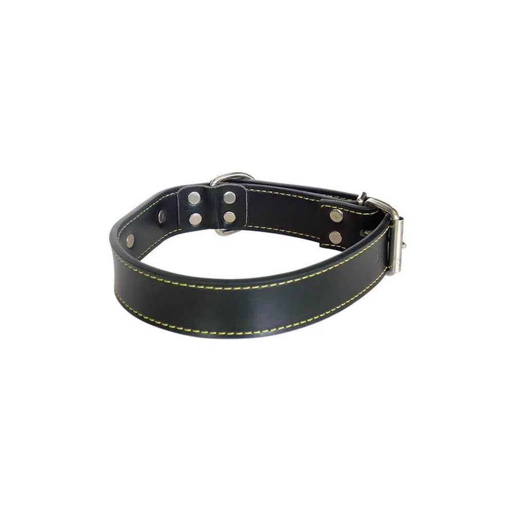 Eastland Leather Dog Collar with Nameplate 55cm