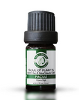 Edys Organics Patchouli Essential Oil for Skin & Hair 5 ml