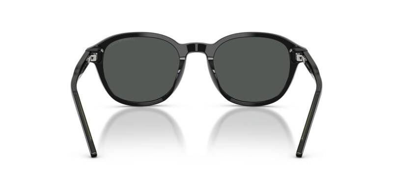Emporio Armani 0EA4247U Grey Lens Men's Sunglasses 51mm