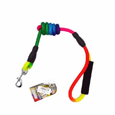 EuroDog Rainbow Dog Leash Durable Walking Lead 14mm x 120cm