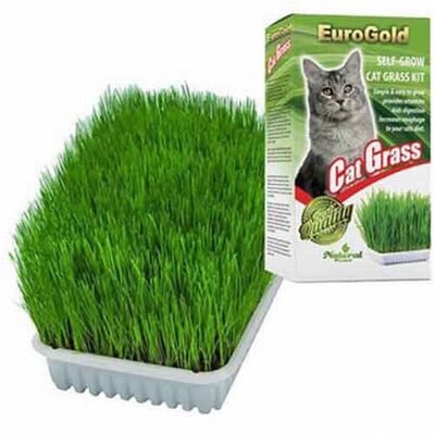 Eurogold Cat Grass Natural Digestion Support Kit