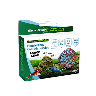 EuroStar Large Leaf Base Plant Aquarium Seeds for Natural Decor