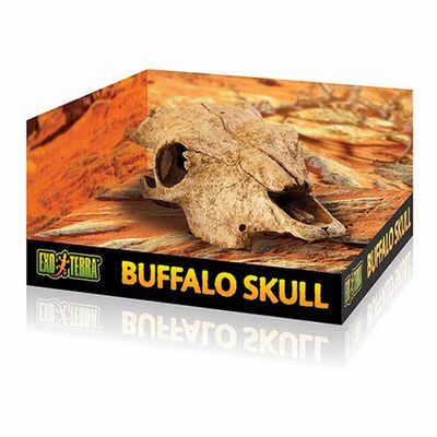 Exo Terra Buffalo Skull Hideout Realistic Reptile Shelter
