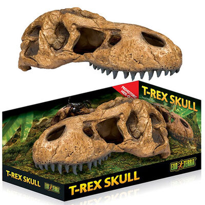 Exo Terra T-Rex Dinosaur Skull Hideout Decor 10 inch