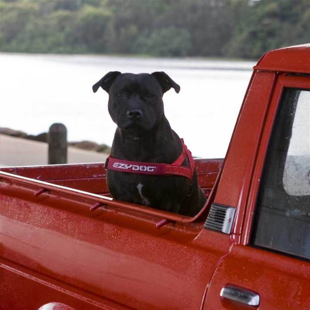 EzyDog Quick Fit Dog Harness Padded Comfort XX Small Candy