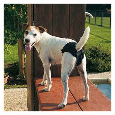 Ferplast Hygienic Dog Panties for Medium Breeds Large 53x59 cm