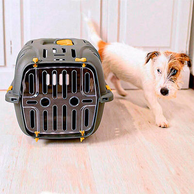Ferplast Jet 10 Small Pet Carrier for Cats and Dogs 32x47x29 cm