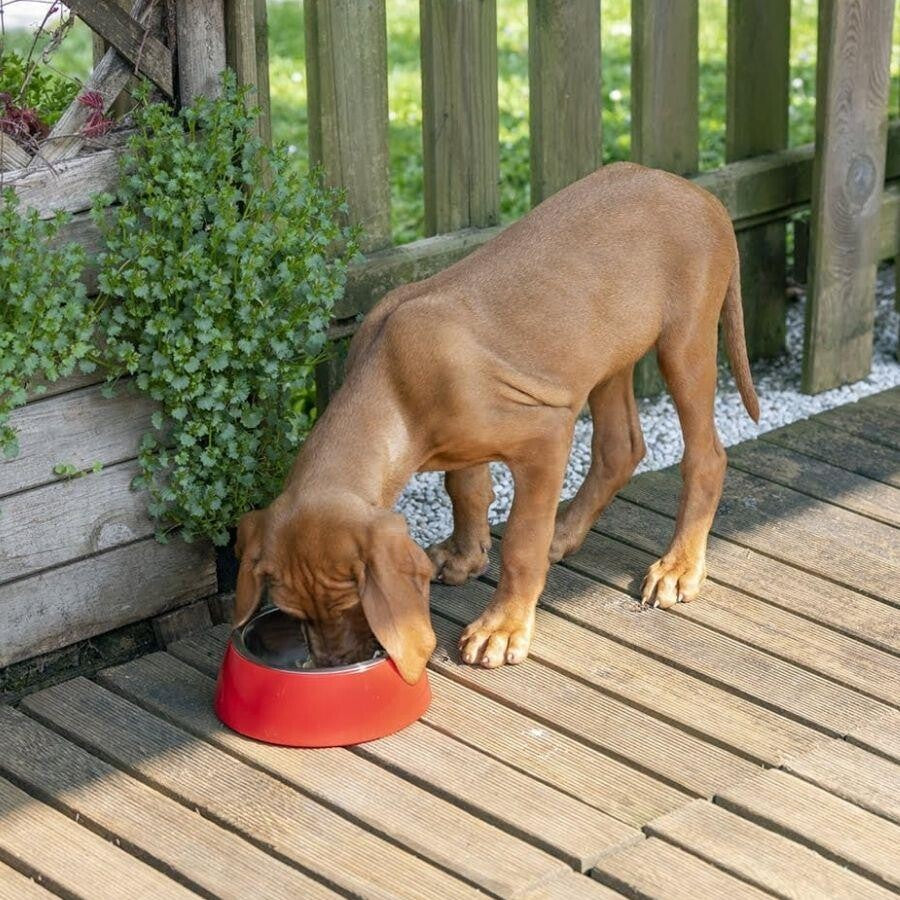 Ferplast Jolie Steel Pet Bowl Non-Slip Red 850 ml