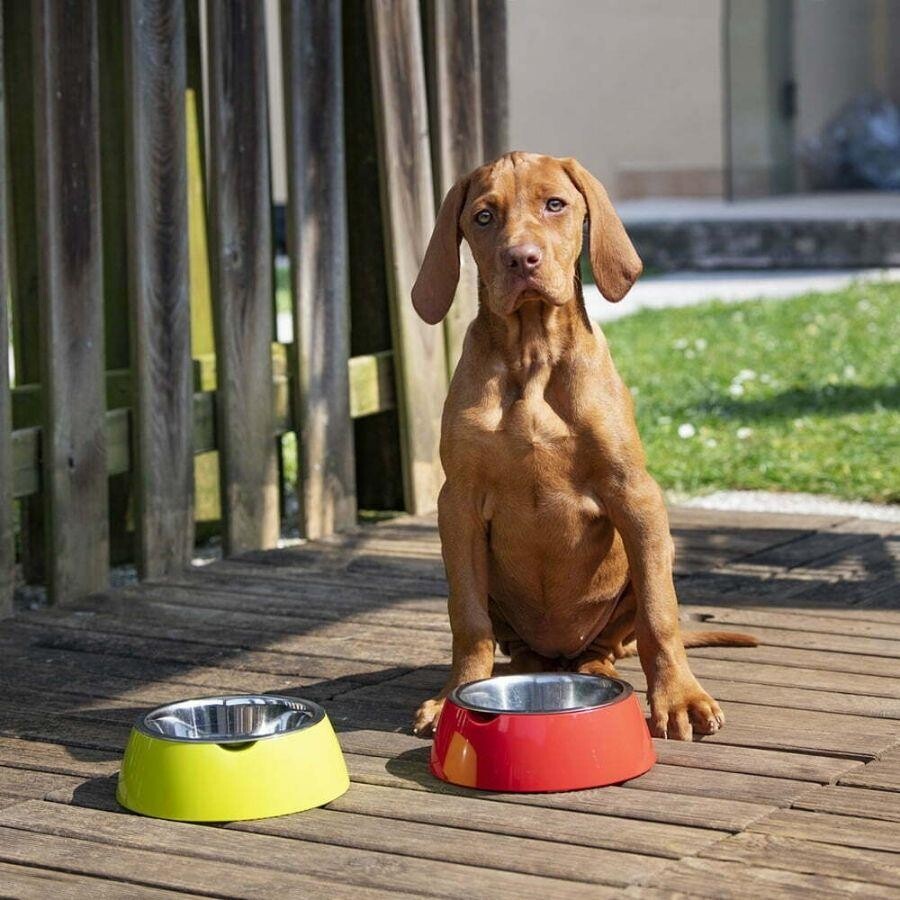 Ferplast Jolie Stainless Steel Pet Bowl Non-Slip Black 850 ml