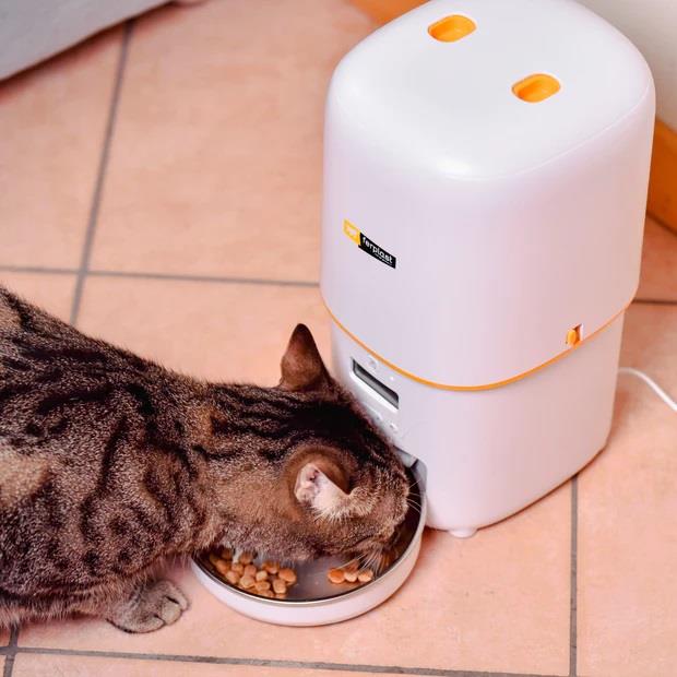 Ferplast Risto Pet Automatic Feeder with Freshness Seal 4L