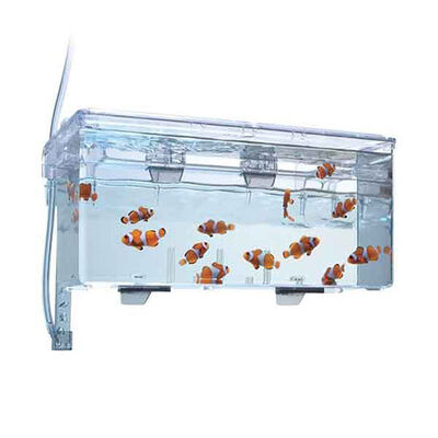 Fluval Large Hanging Breeding Box for Safe Fry Rearing 26x14x12cm