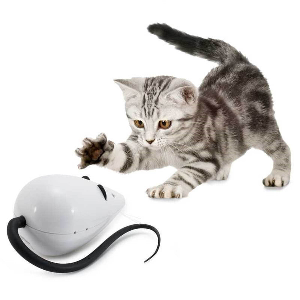 FroliCat Rolorat Interactive Cat Toy - Motion Mouse with Sound & Auto Play