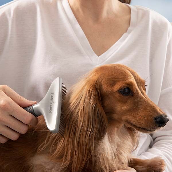 Furminator Rake Detangling Grooming Tool for Long Thick Fur 15 cm